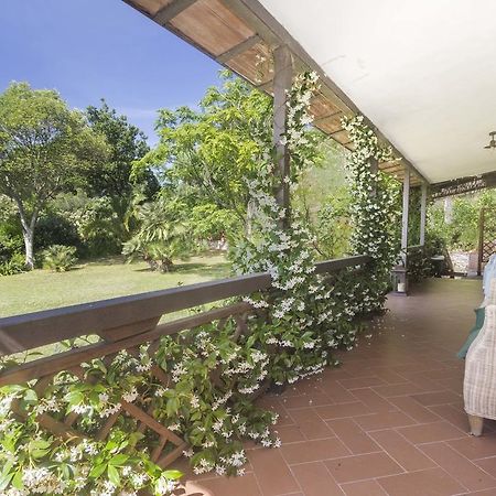 Villa Monserrato - Goelba Porto Azzurro Exteriör bild