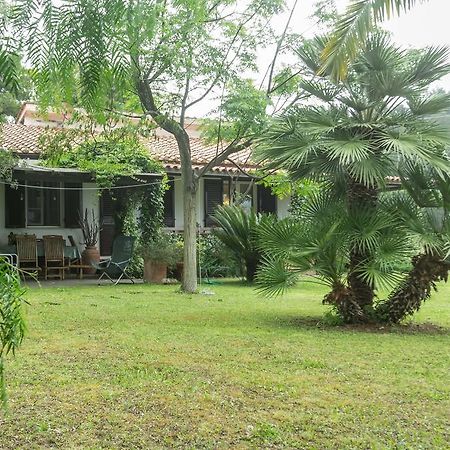 Villa Monserrato - Goelba Porto Azzurro Exteriör bild