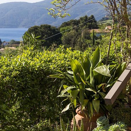 Villa Monserrato - Goelba Porto Azzurro Exteriör bild