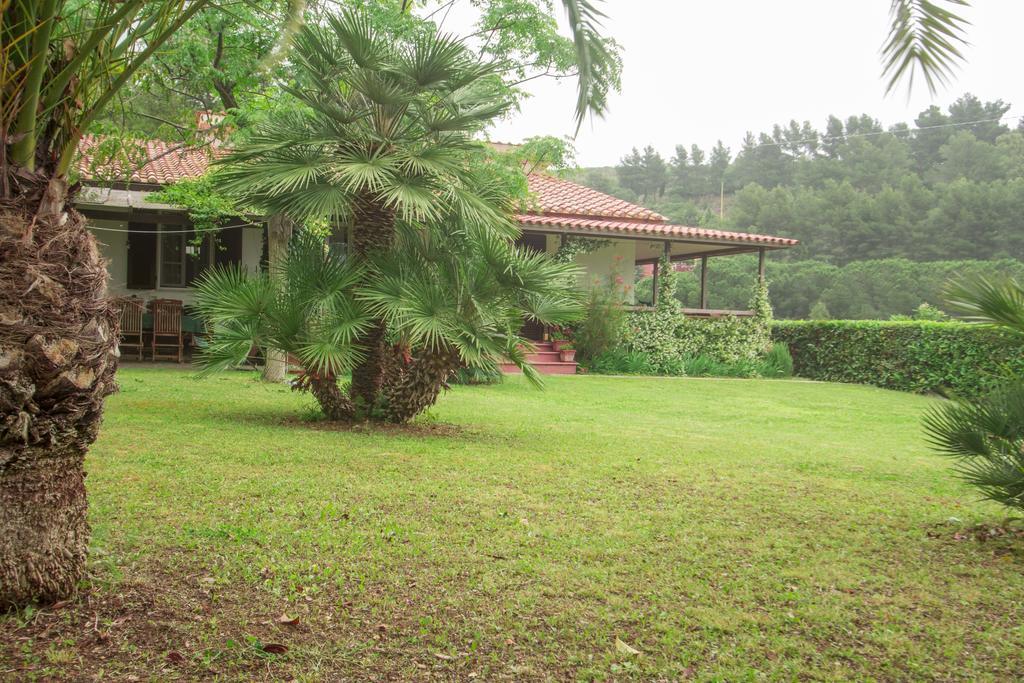 Villa Monserrato - Goelba Porto Azzurro Exteriör bild